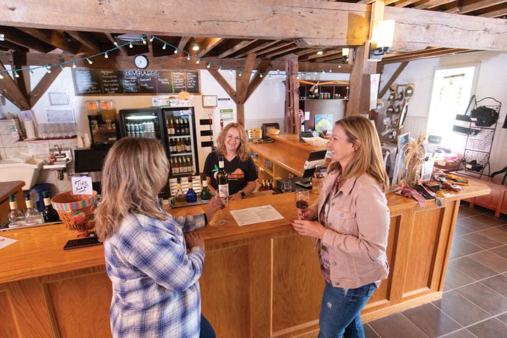 Two women tasting at Peachbarn Winery and Cafe, one of the vineyards on the Shawnee Hills Wine Trail