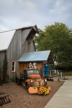 Fall decorations including an antique truck with two skeletons, pumpkins and mums