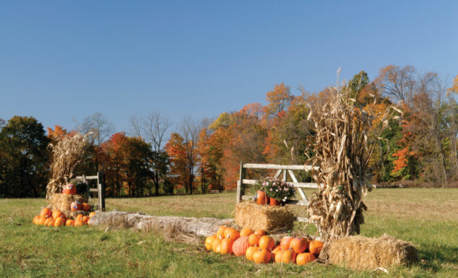 Corn shocks and pumpkin decorations