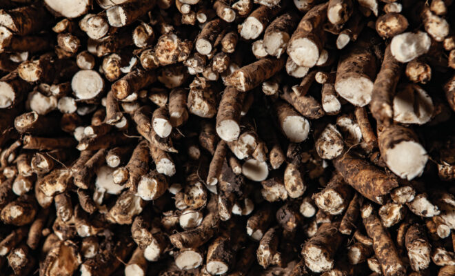 Farm Facts: Horseradish