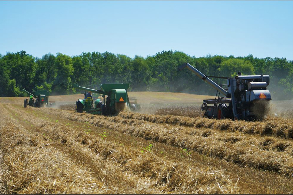 Field demonstrations at Bos Brothers Historical Farm
