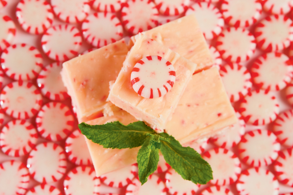 Festive Peppermint Fudge