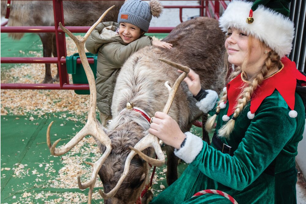 Elf sitting next to a reindeer as a little kid holds them