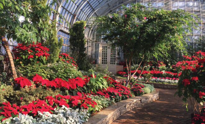Garfield Park Conservatory Invites Visitors to Escape the Winter Chill