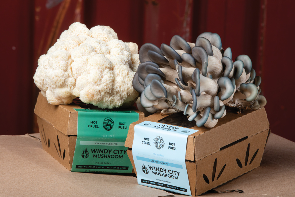 Oyster and Lion's Mane mushrooms from Windy City Mushroom