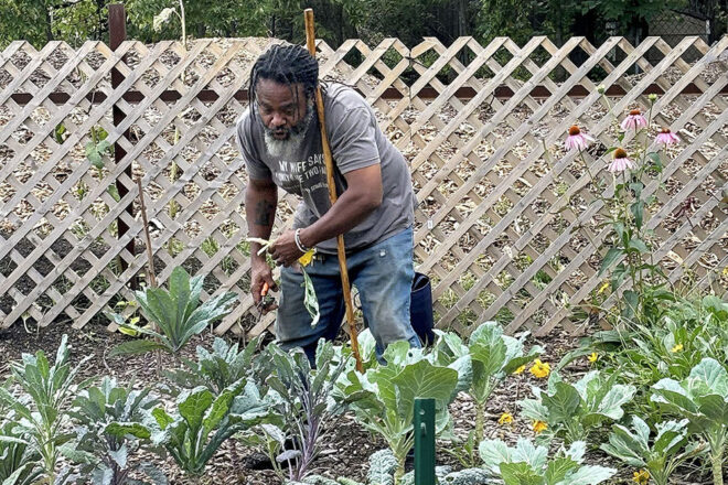 The Archer Urban Garden Initiative entails growing produce such as kale, sweet potatoes and Swiss chard, among other items, to be donated to community organizations in Chicago. Steve Archer started the community garden in 2023.