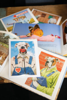 Dogtown Artworks' books and artwork