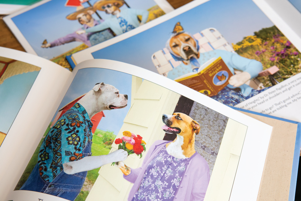 Dogtown Artworks books