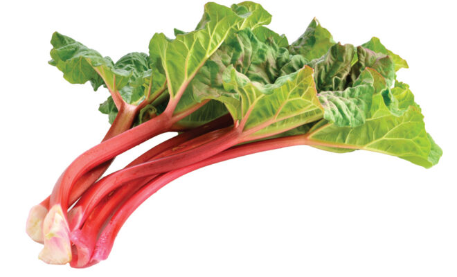 Farm Facts: Rhubarb