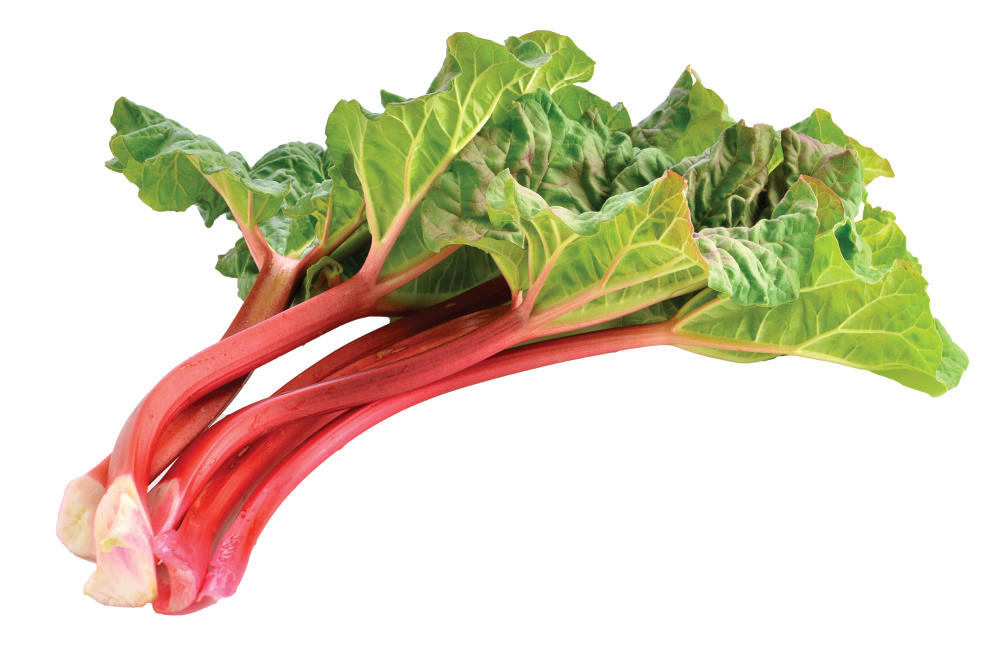 Fresh picked Rhubarb