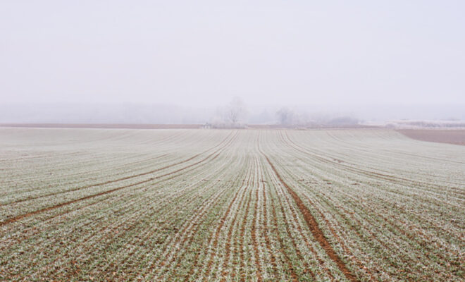 Winter Woes Melt Into the Promise of Spring
