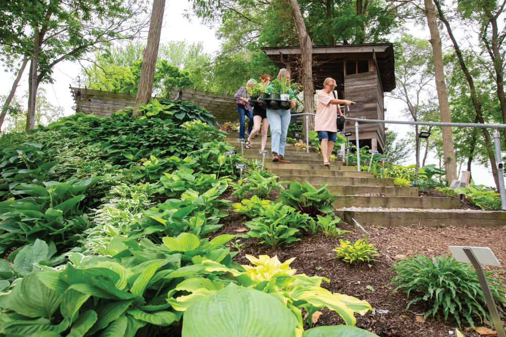 Hostas on the Bluff staff help customers make their way down to see the different hosta varieties