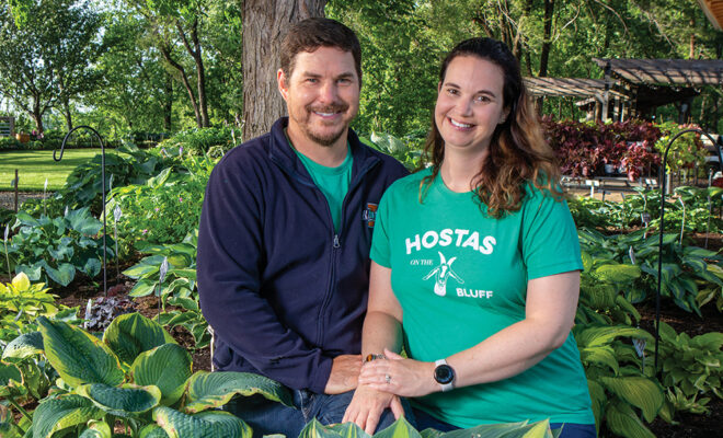 Hostas on the Bluff Grows Many Different Types of Hostas (VIDEO)
