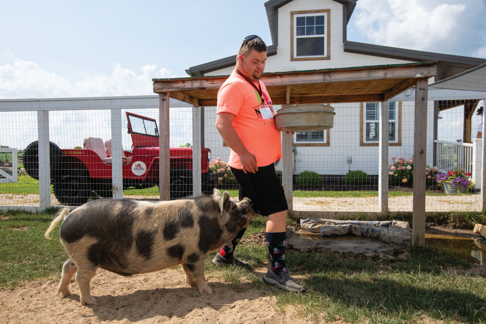 Steven Warning tends to a pig at Navarro Farm