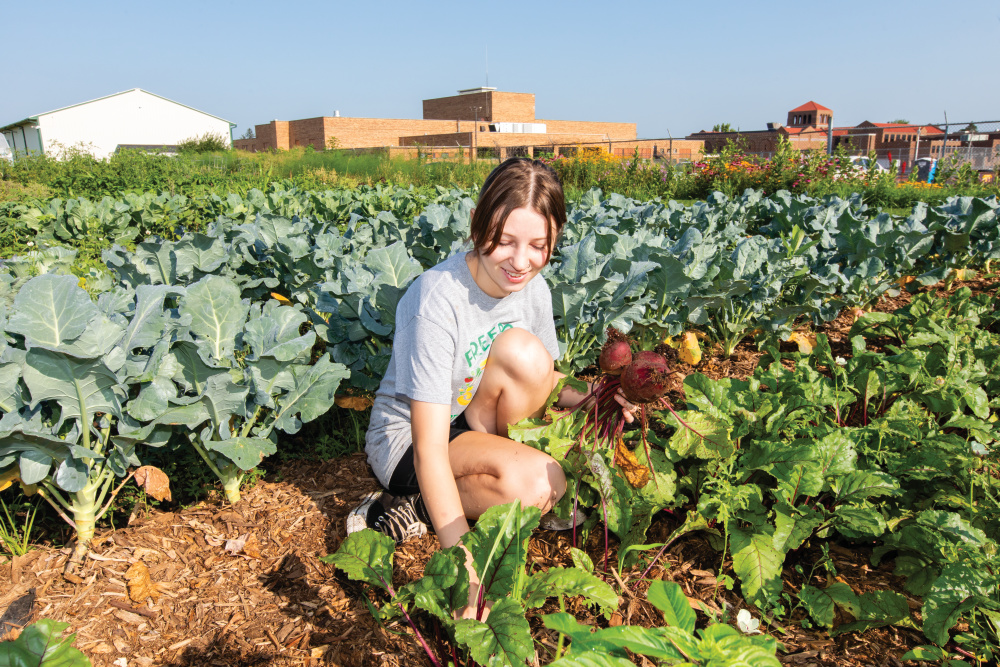 Lilly Webb harvests beets at the Freeport High School Student Garden