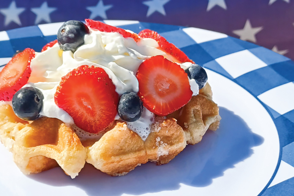 Waffle with whip cream, blueberries and strawberries from The Red Porch, one of the things to do in Clinton County