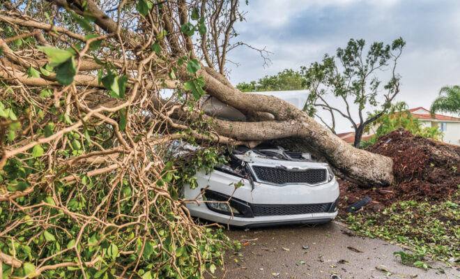 Car with a tree on top of it after a storm