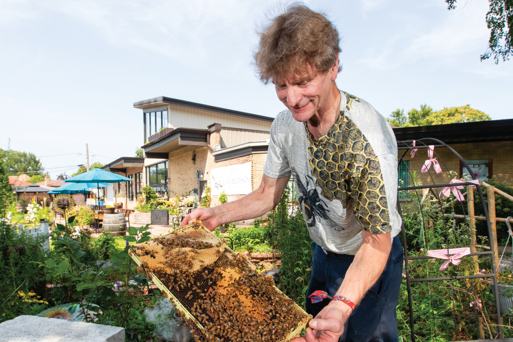 Greg Fischer checks his bee hives at Wild Blossom Meadery