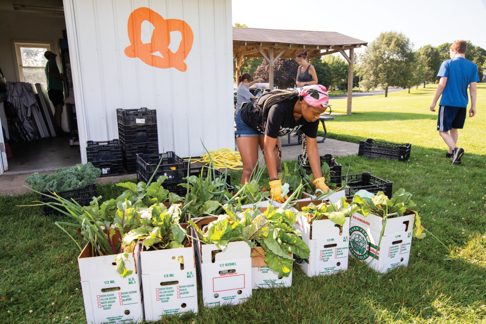 Students fill CSA boxes at the Freeport Student Garden