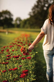A woman picking a bouquet at Wild Child Flower Farm
