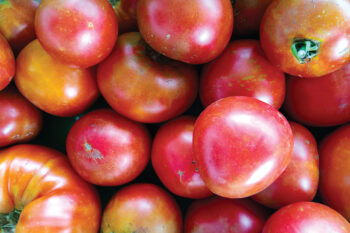 The Farm Store tomatoes