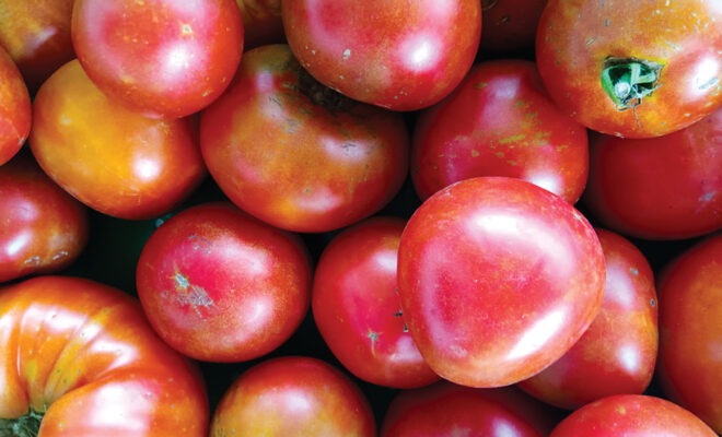 The Farm Store tomatoes