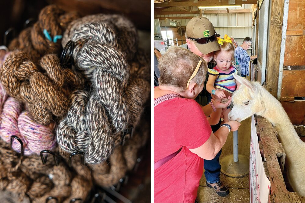 Heartland Criations opens its farm to visitors by appointment and at events like September’s National Alpaca Farm Days. It also sells various alpaca products and gifts.