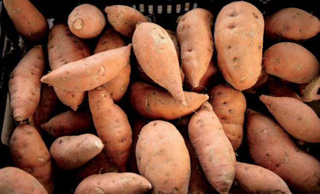 sweet potatoes