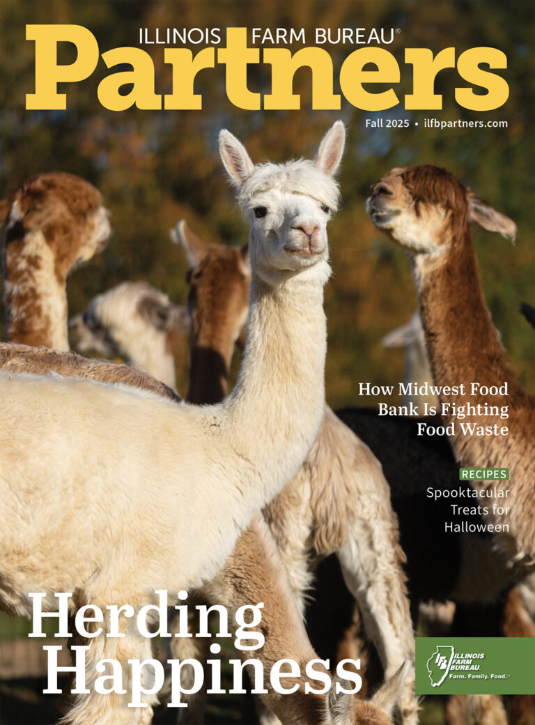 Illinois Partners Fall 2025 cover