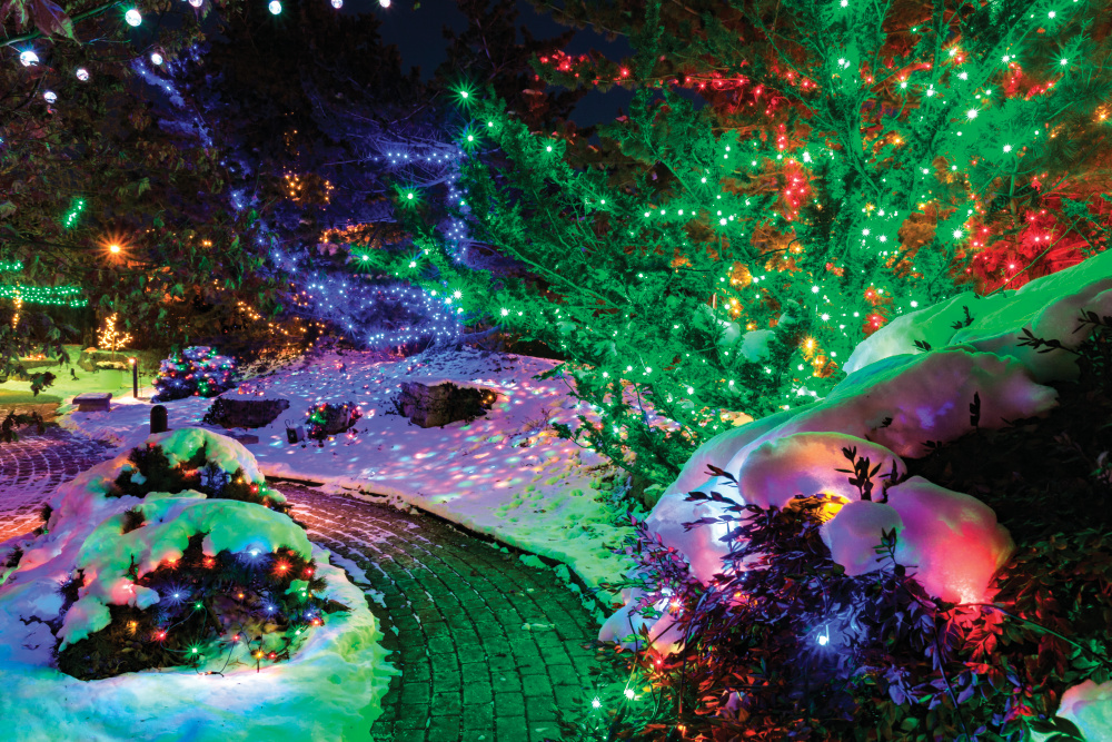 Quad City Botanical Center’s Winter Lights