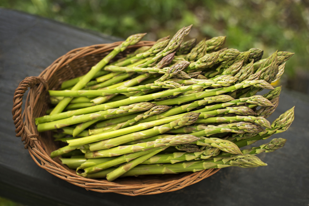 Asparagus in a basket