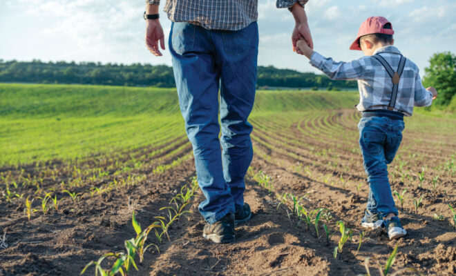 Father holding his son's hand as they walk through a field on a farm