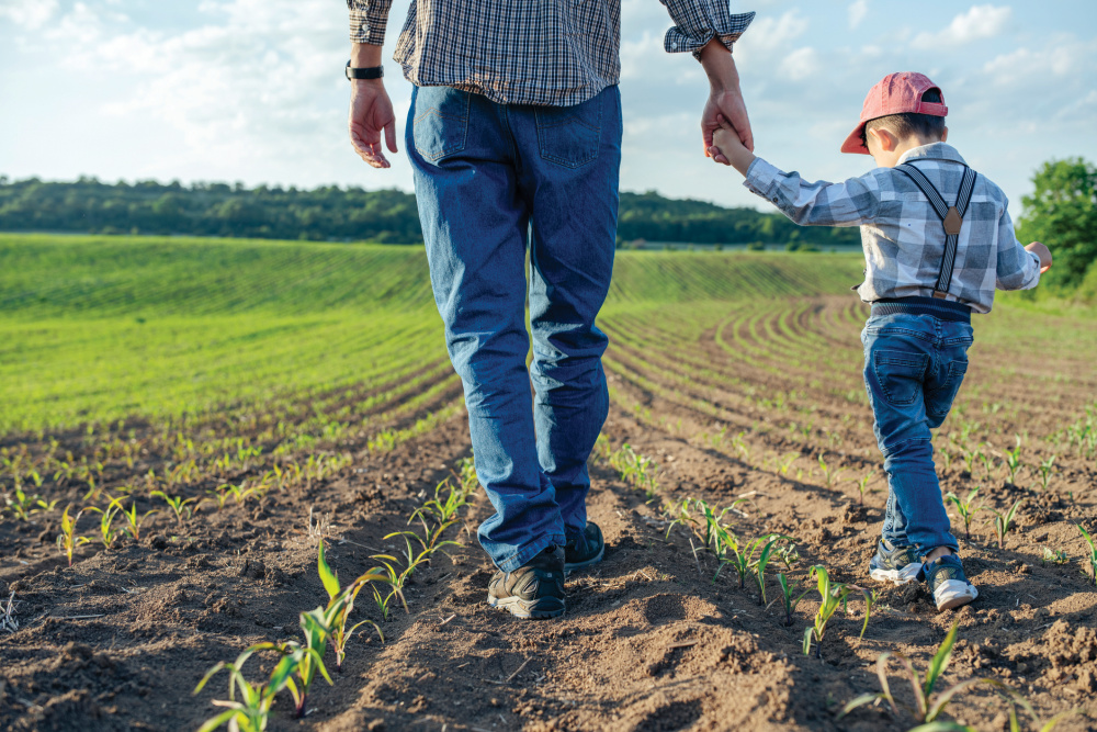 Father holding his son's hand as they walk through a field on a farm 