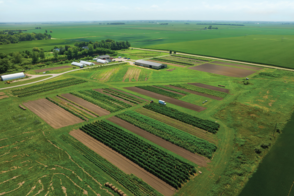 Aerial view of Epiphany Farms