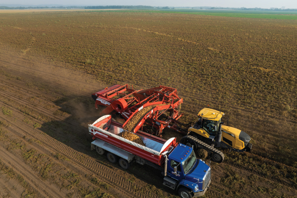 Aerial view of potatoes being harvested at Neumiller Farms