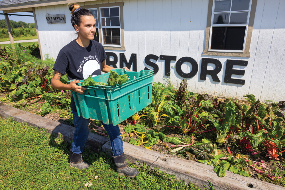 Employees picking produce at Epiphany Farms in Downs, Illinois