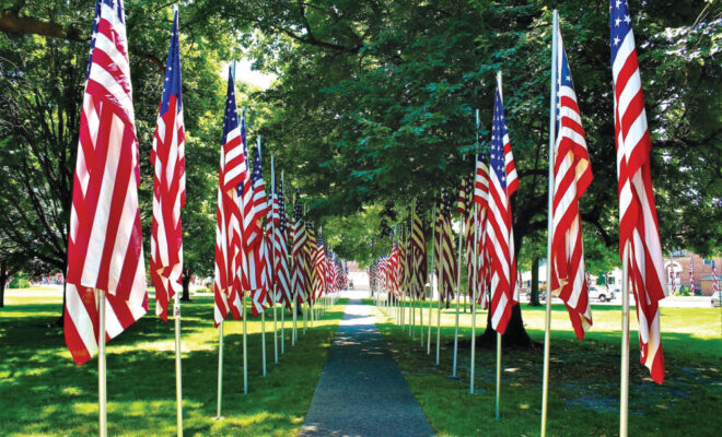 Flags lined up along a path for the Geneseo Aisle of Flags