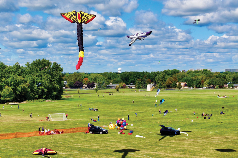 Kites flying at DeKalb Kite Fest