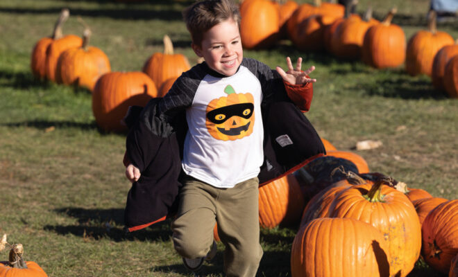 Stade’s Farm & Market Offers a Theme Park Experience on an Illinois Farm
