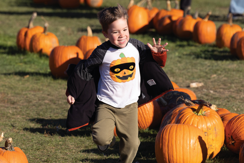 Little boy with a jack-o'-lantern shirt running through the pumpkin patch at Stade’s Farm & Market