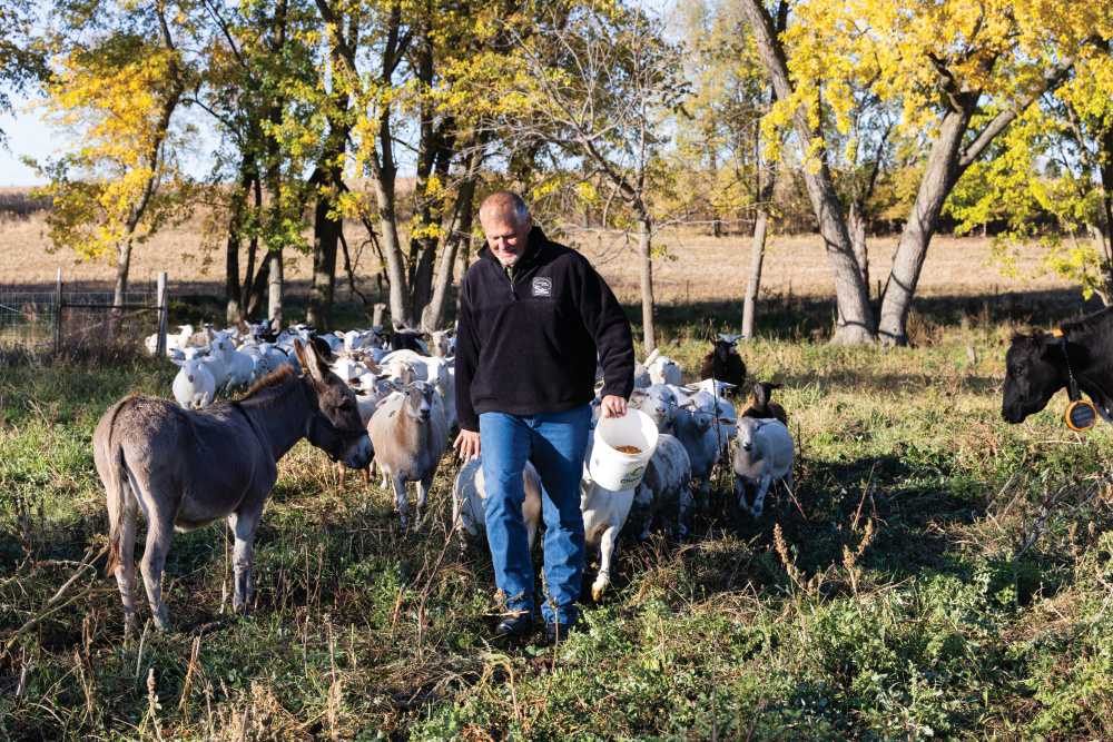 Dan Sanderson feeding farm animals at Pasture Grazed Regenerative Farm