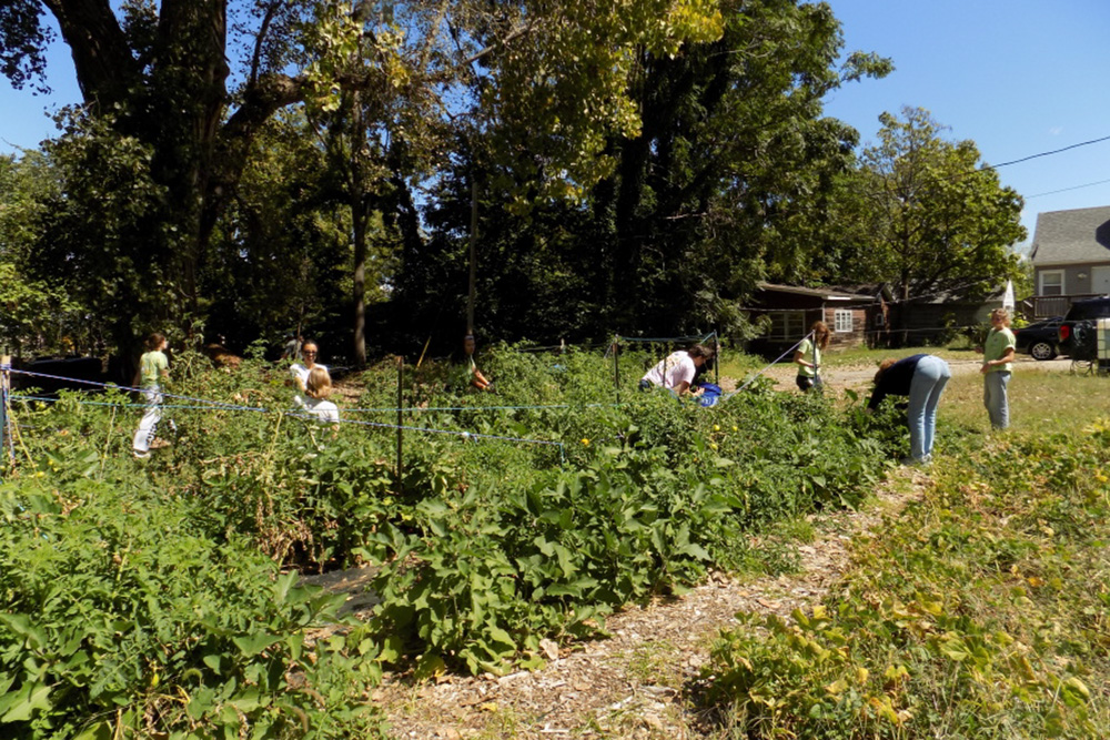 People working in the Augie Acres garden