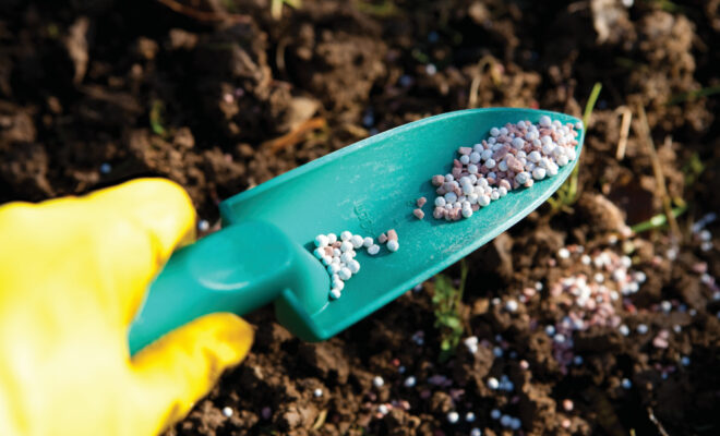 Exposing Gardening Myths