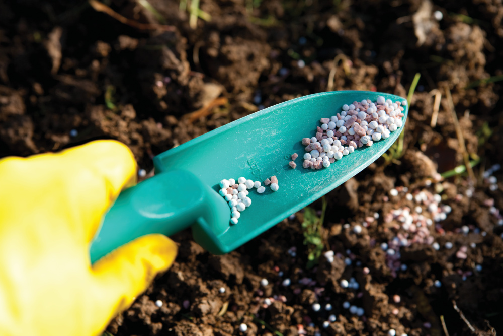 Up-close of someone applying fertilizer